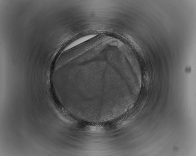 X0000101120500200807241203