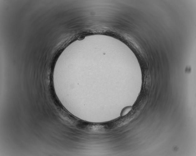 X0000101120501200807241203
