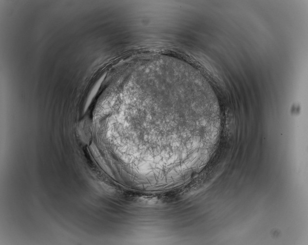 X0000101120502200807241203
