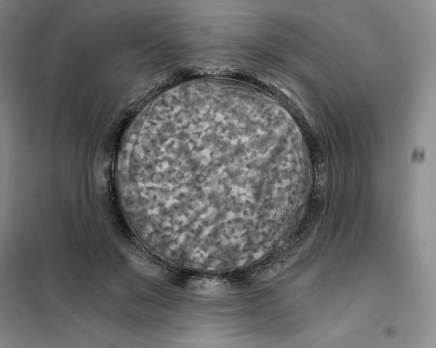 X0000101120503200807241203