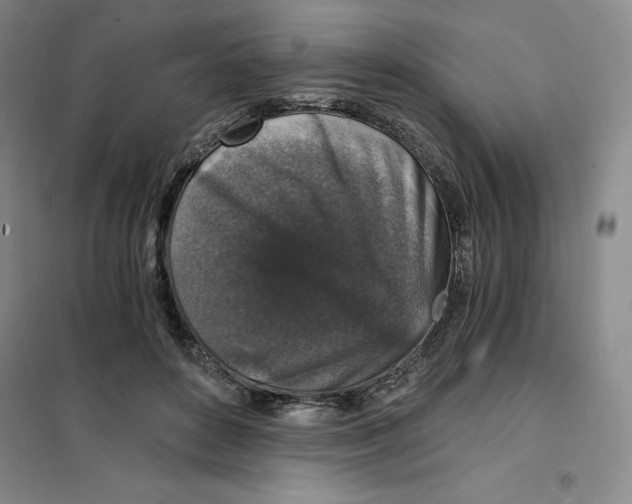 X0000101120504200807241203