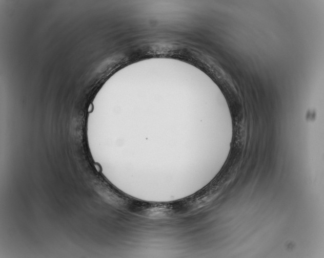 X0000101120505200807241203