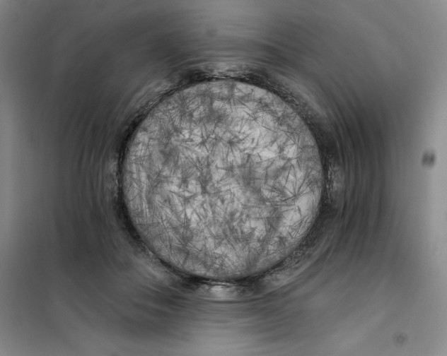 X0000101120506200807241203