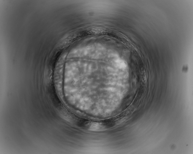 X0000101120507200807241202