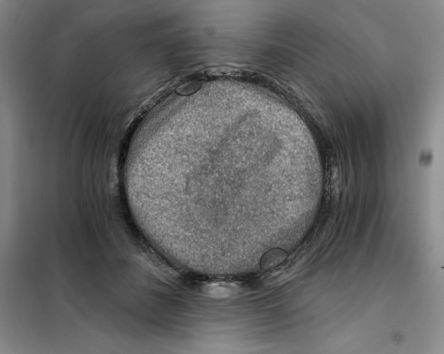 X0000101120508200807241202