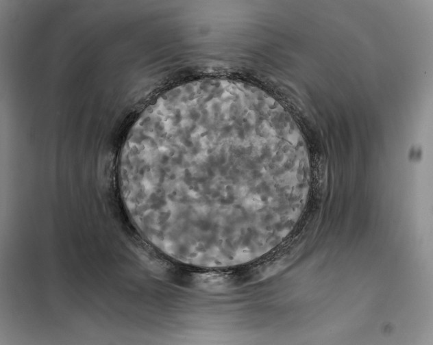 X0000101120511200807241202