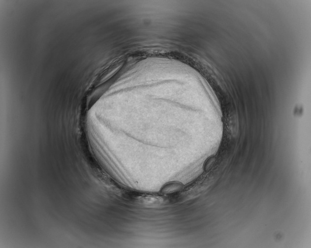 X0000101120512200807241202