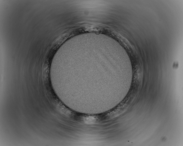 X0000101120513200807241202