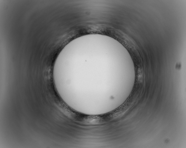 X0000101120514200807241202