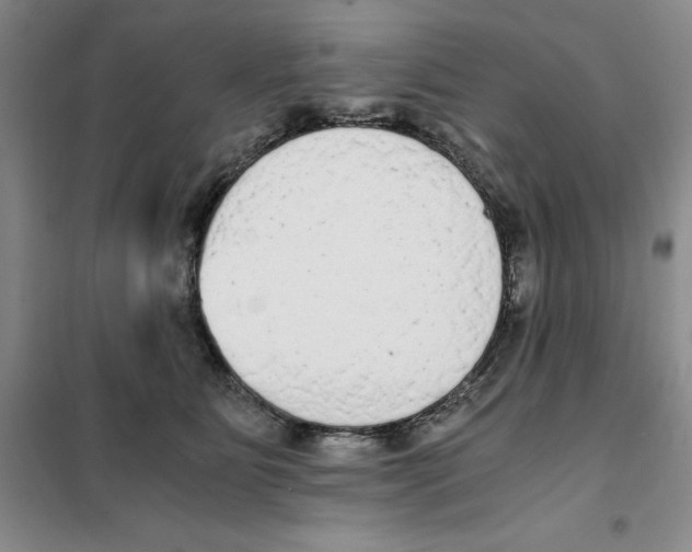X0000101120515200807241202