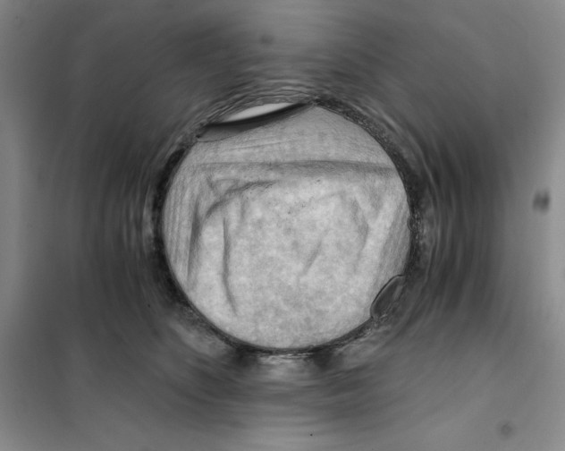 X0000101120516200807241202