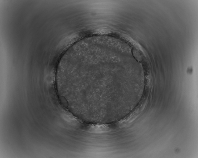X0000101120517200807241202