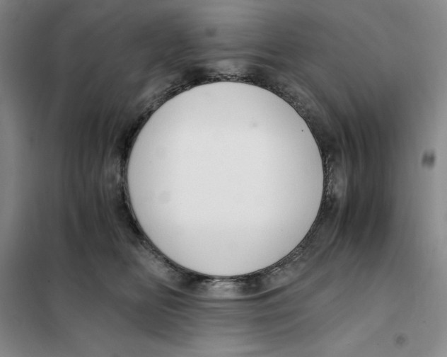 X0000101120518200807241202