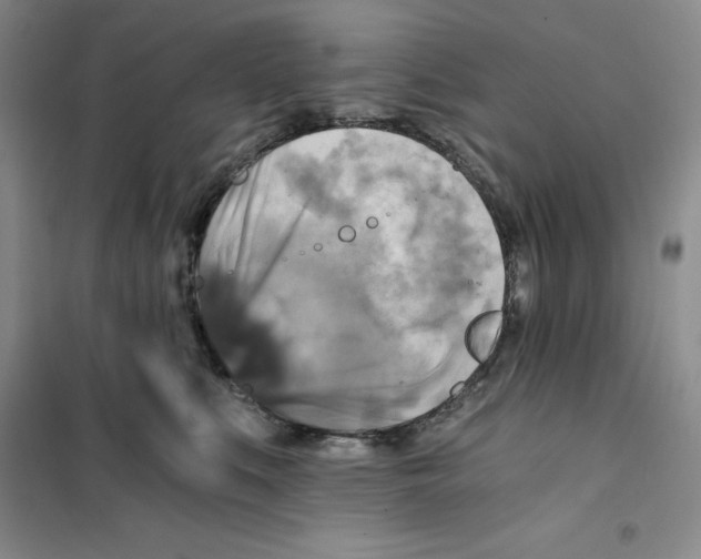 X0000101120519200807241202