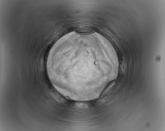 X0000101120520200807241202