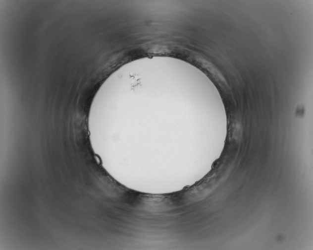 X0000101120521200807241202