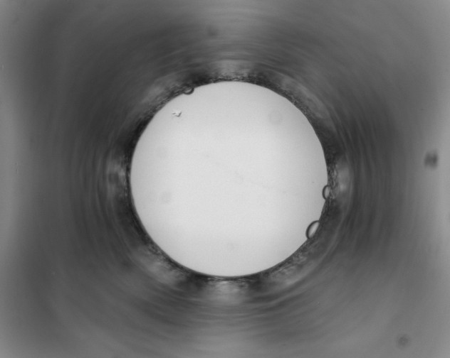 X0000101120522200807241202