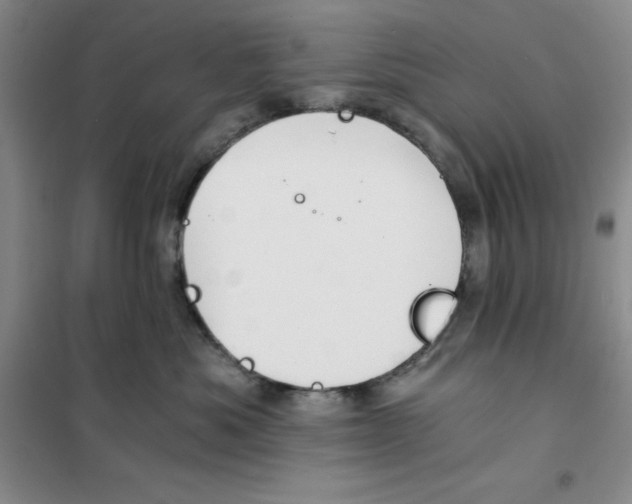X0000101120525200807241202