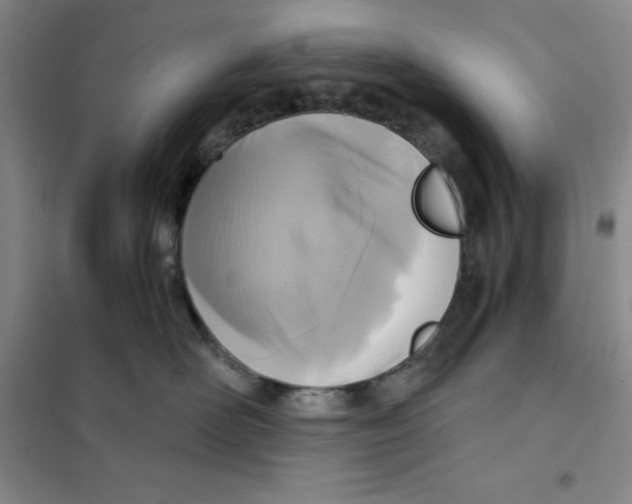 X0000101120526200807241202