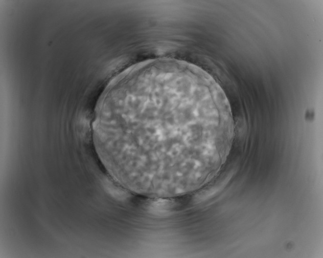 X0000101120527200807241202
