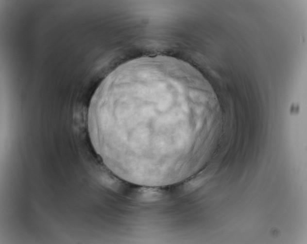 X0000101120528200807241202