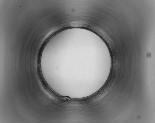 X0000101120530200807241201