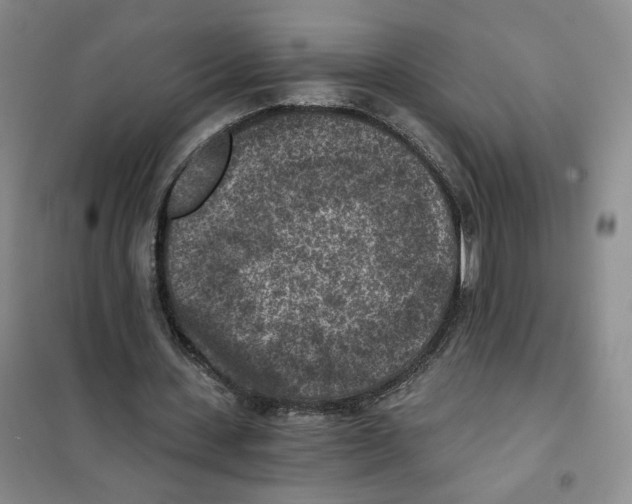 X0000101120531200807241201