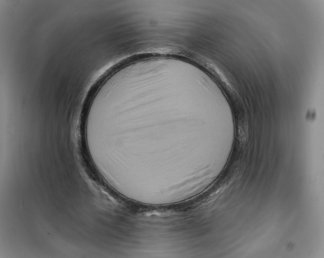X0000101120532200807241201