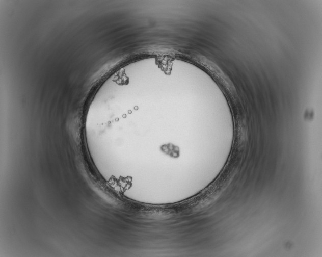 X0000101120533200807241202