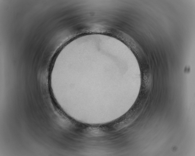 X0000101120534200807241202