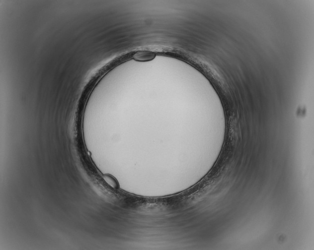 X0000101120536200807241202