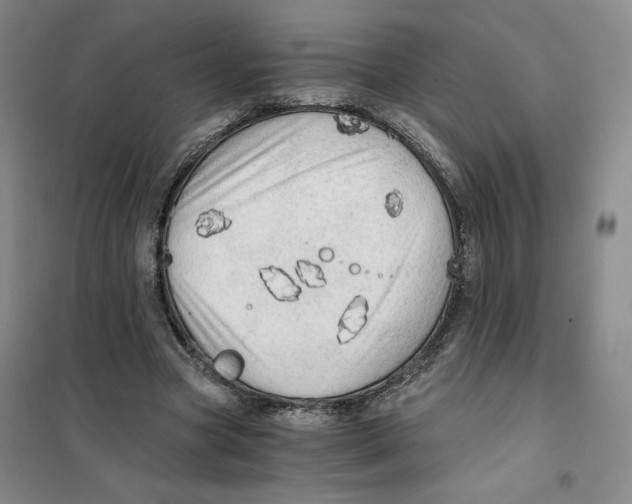 X0000101120537200807241202