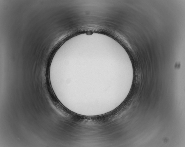 X0000101120538200807241202