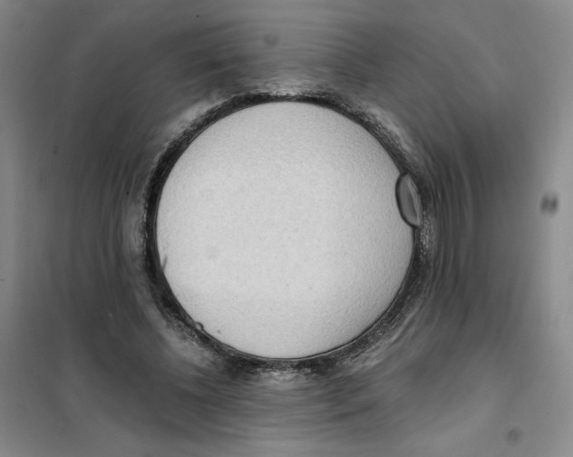 X0000101120540200807241202