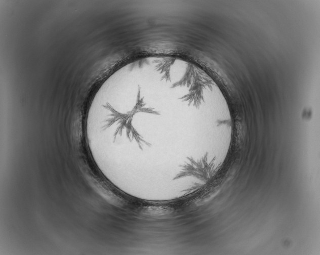 X0000101120541200807241202