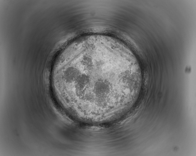 X0000101120542200807241202