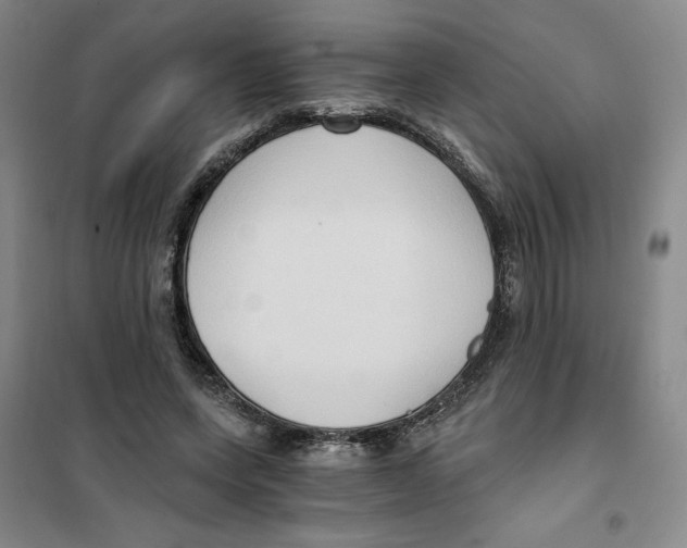 X0000101120543200807241202