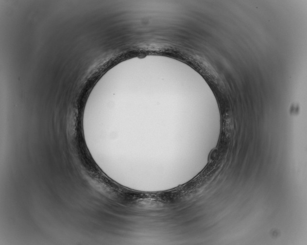 X0000101120544200807241202