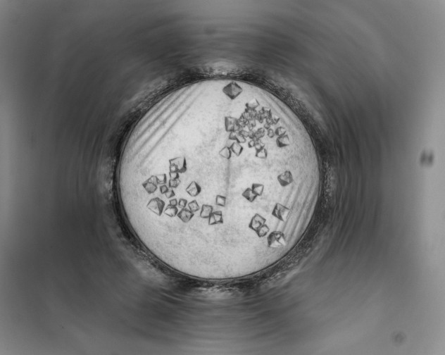 X0000101120545200807241202