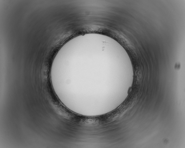 X0000101120546200807241202