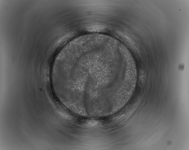 X0000101120547200807241202
