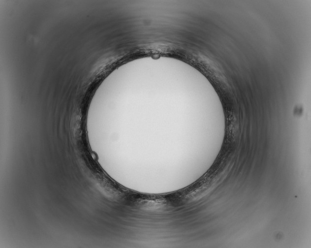 X0000101120548200807241202
