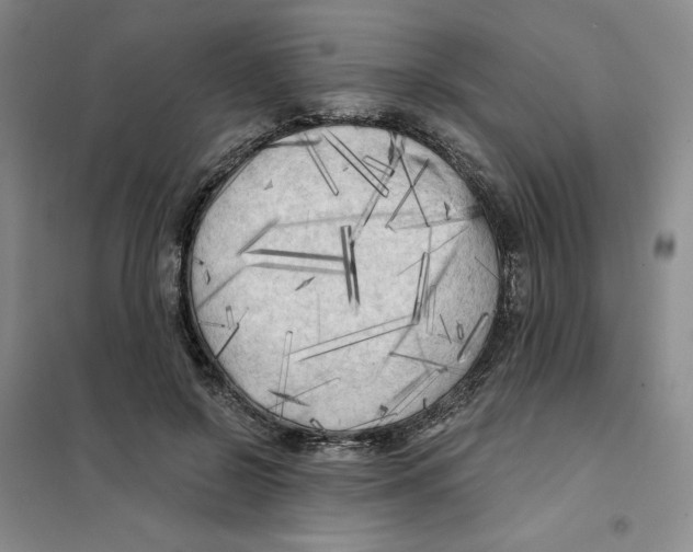 X0000101120550200807241202