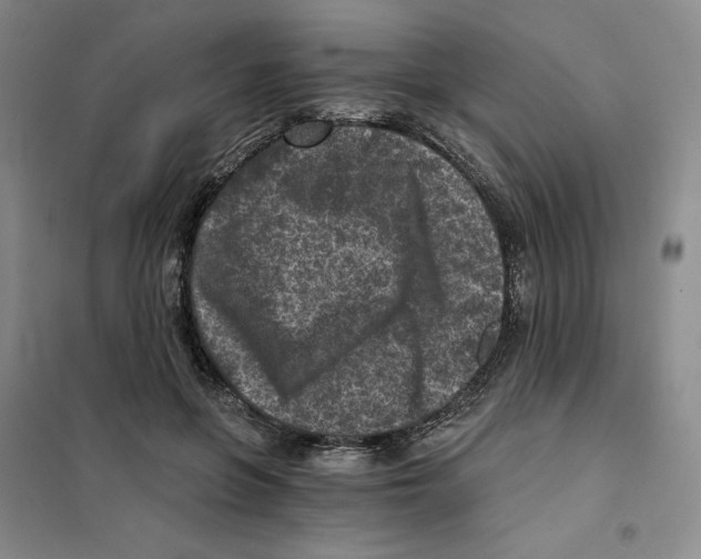 X0000101120551200807241202