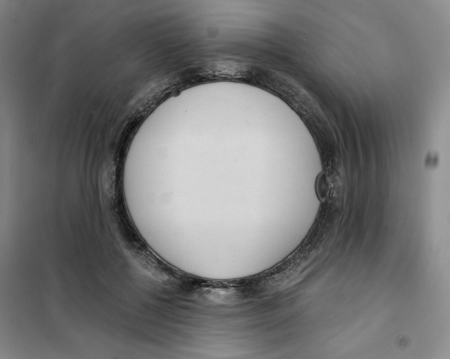 X0000101120552200807241202