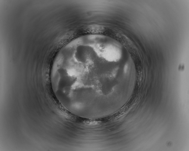 X0000101120553200807241202