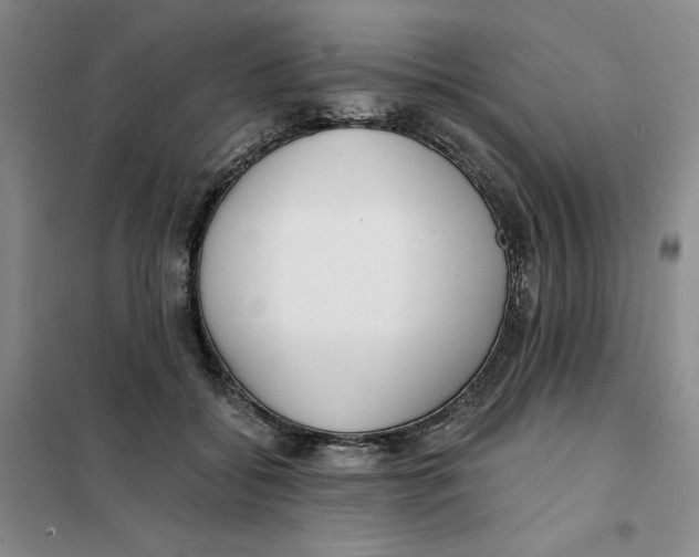 X0000101120556200807241202