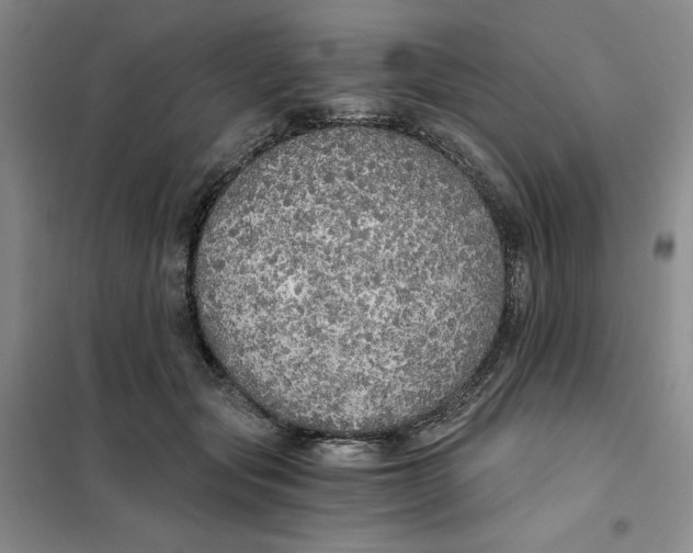 X0000101120557200807241202