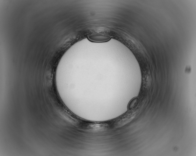 X0000101120558200807241202