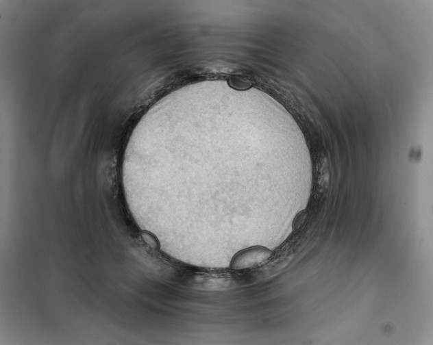 X0000101120559200807241202